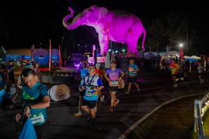 BIB: 
                            <button type="button" onclick="openModal(26552351)" class="btn btn-primary btn-sm float-right btn-popup" data-toggle="modal" data-target=".modal-high-quality">
                        <i class="fas fa-shopping-cart"></i> Add to Cart
                    </button>
                                            <button type="button" onclick="isThisMe(26552351, true)" class="btn btn-success btn-sm float-right btn-popup btn-isme hidden" data-toggle="tooltip" data-placement="bottom" title="นี่คือรูปของคุณใช่ไหม คลิกที่นี่เพื่อเอาเข้าอัลบั้ม">
                        <i class="fas fa-plus"></i> Add to album
                    </button>
                    <button type="button" onclick="isThisMe(26552351, false)" class="btn btn-warning btn-sm float-right btn-popup btn-isnotme hidden">
                        <i class="fas fa-ban"></i> Remove from album
                    </button>